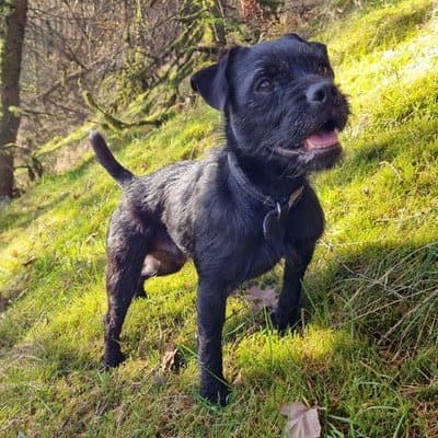 Dexter, who stayed with us